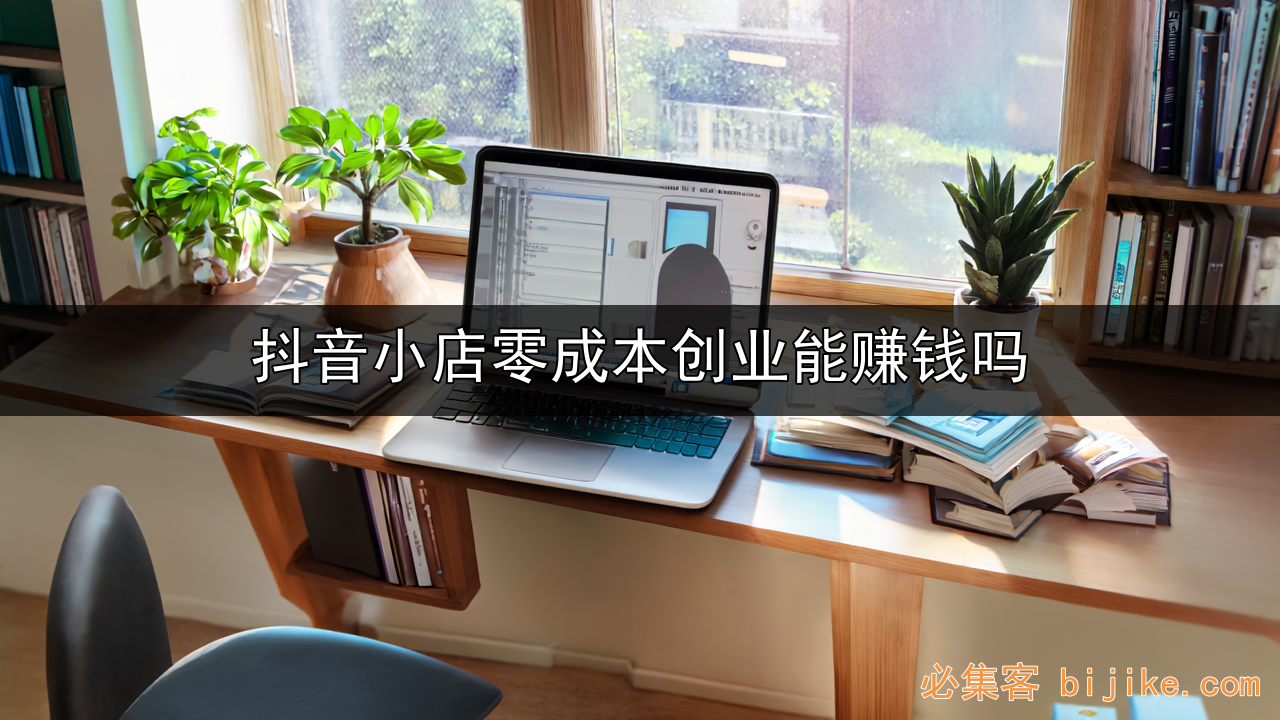 抖音小店赚钱