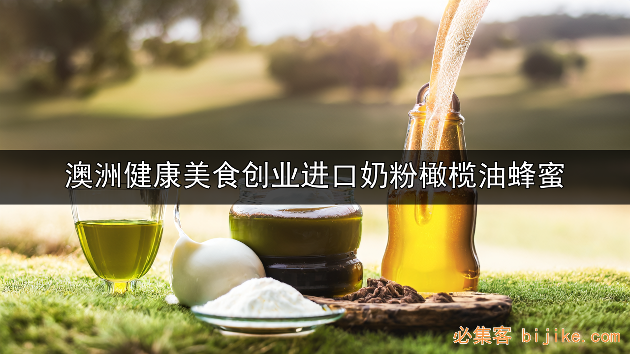 健康食品创业