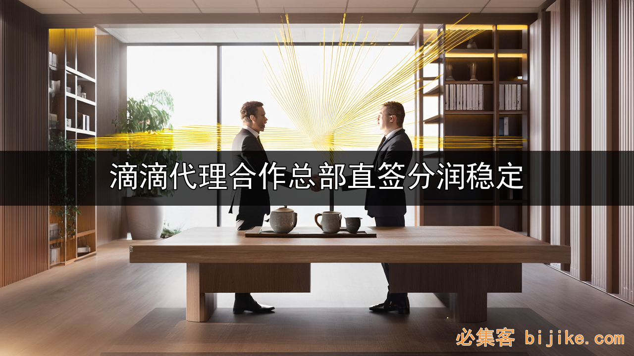 滴滴代理计划