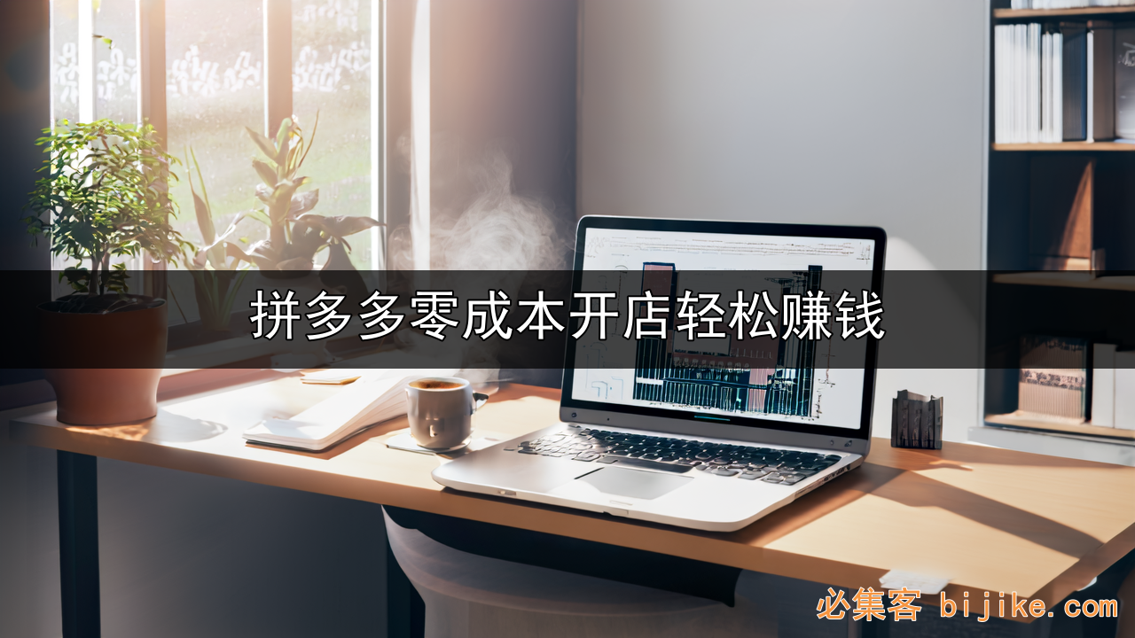 拼多多副业指南