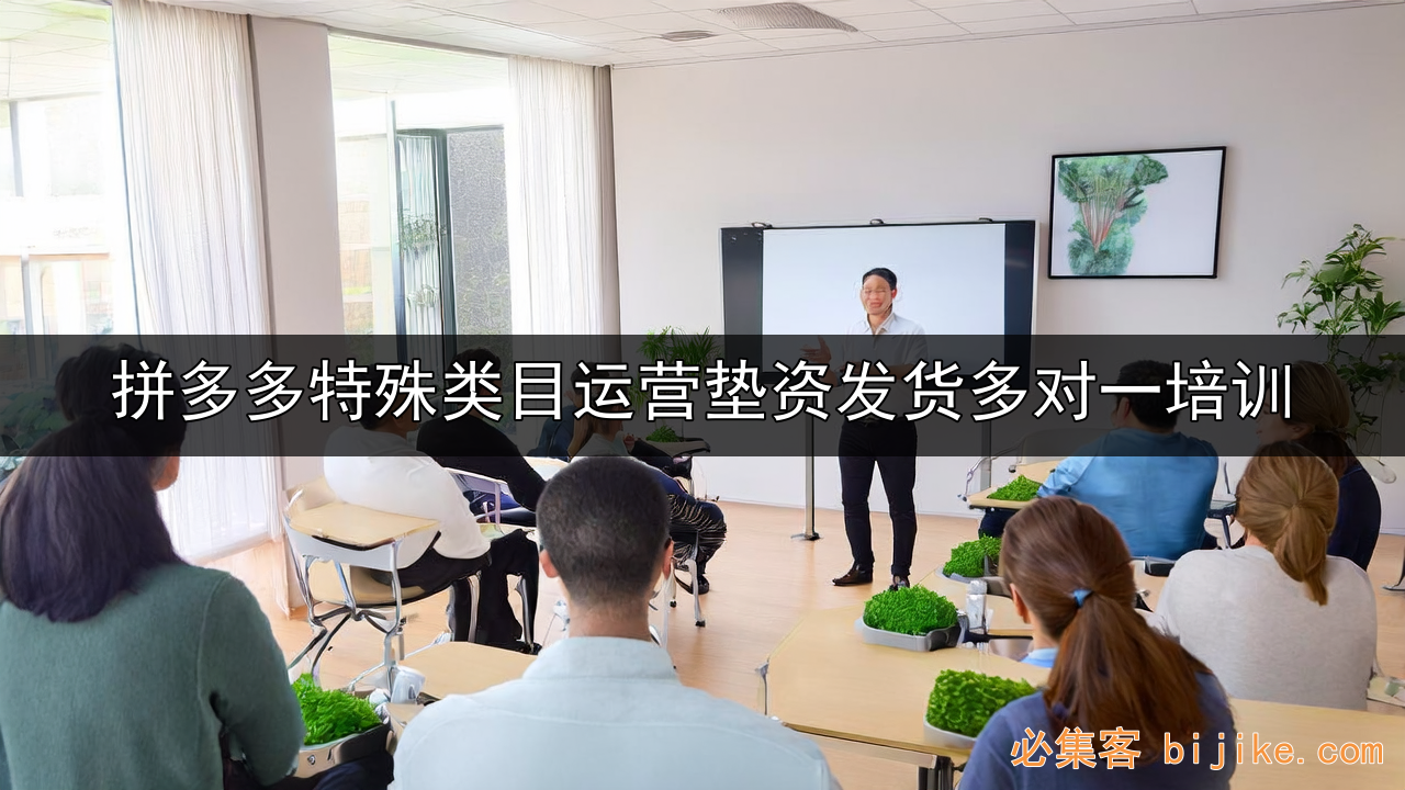 拼多多暴利类目