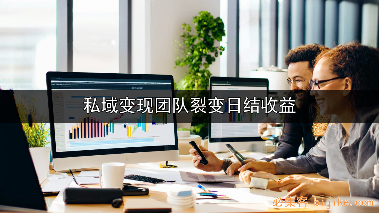 私域变现指南