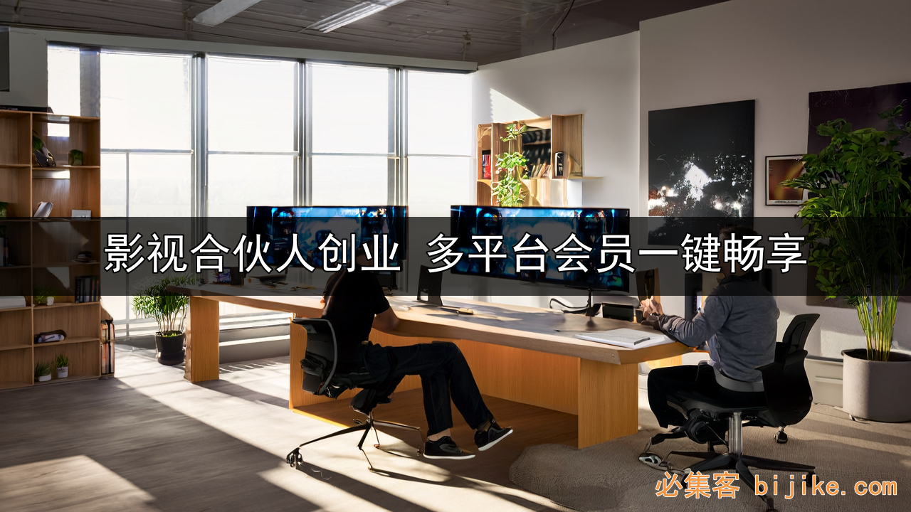 影视会员创业