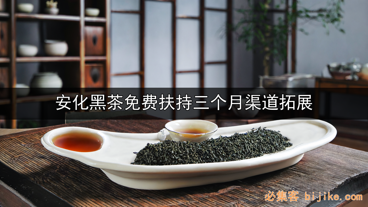 安化黑茶创业