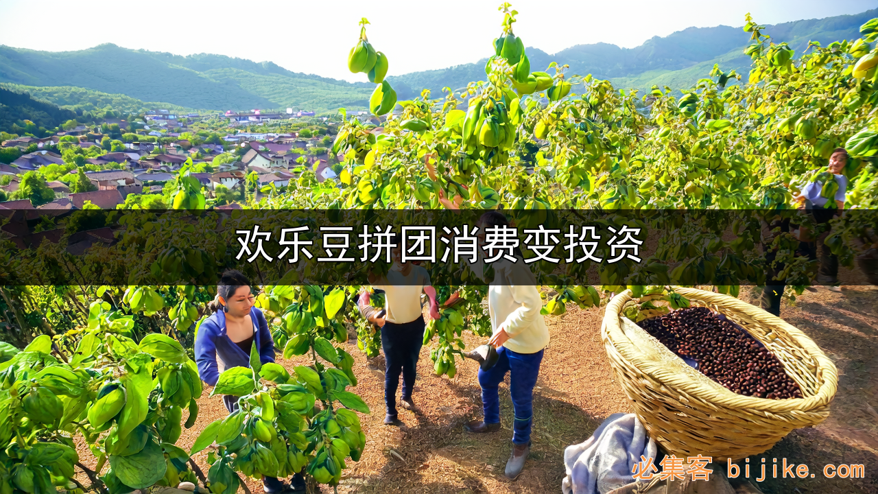拼团赚钱攻略