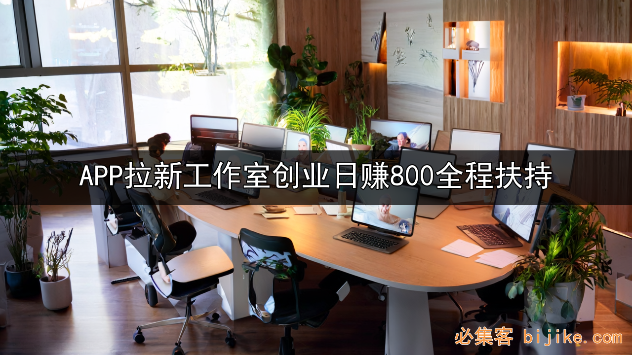 APP拉新创业