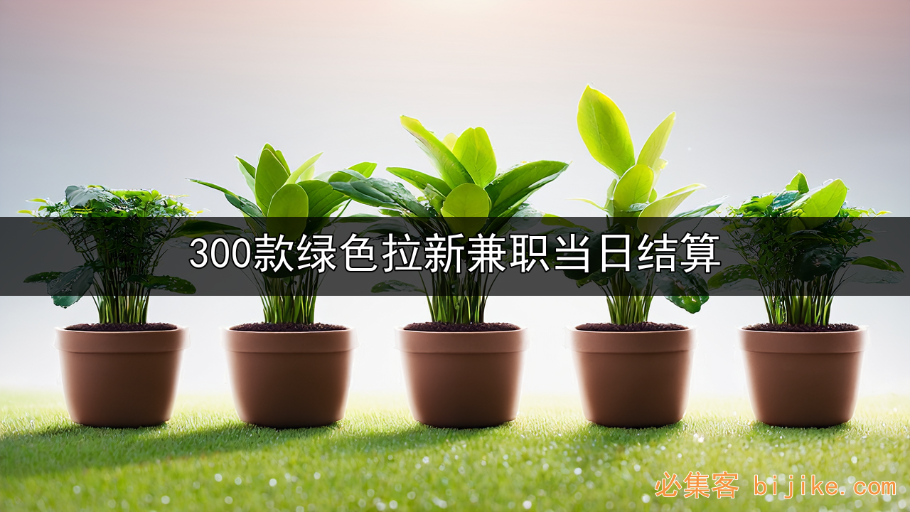 APP拉新创业