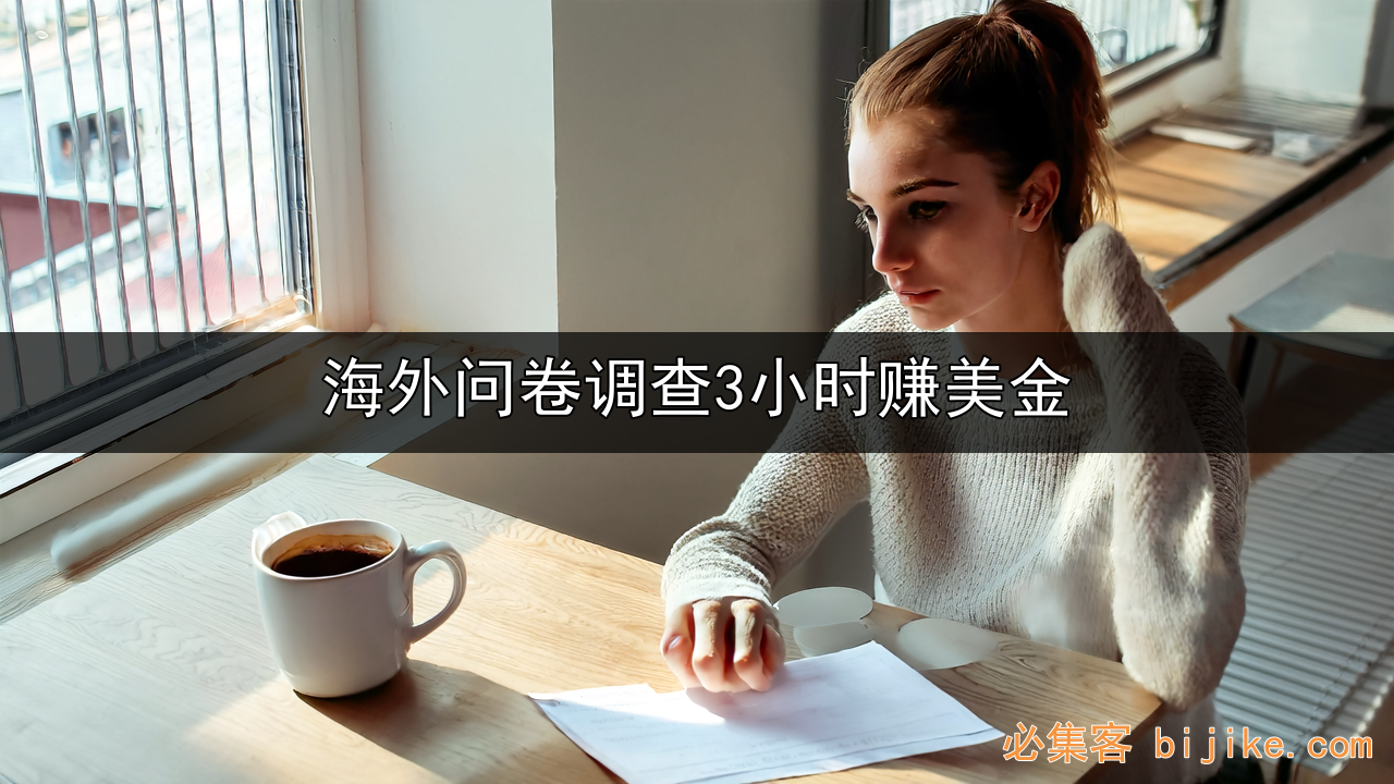 海外问卷副业