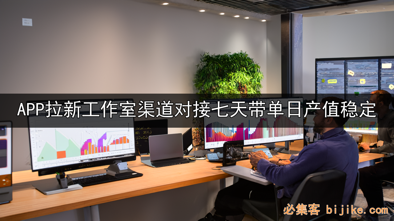 APP拉新创业