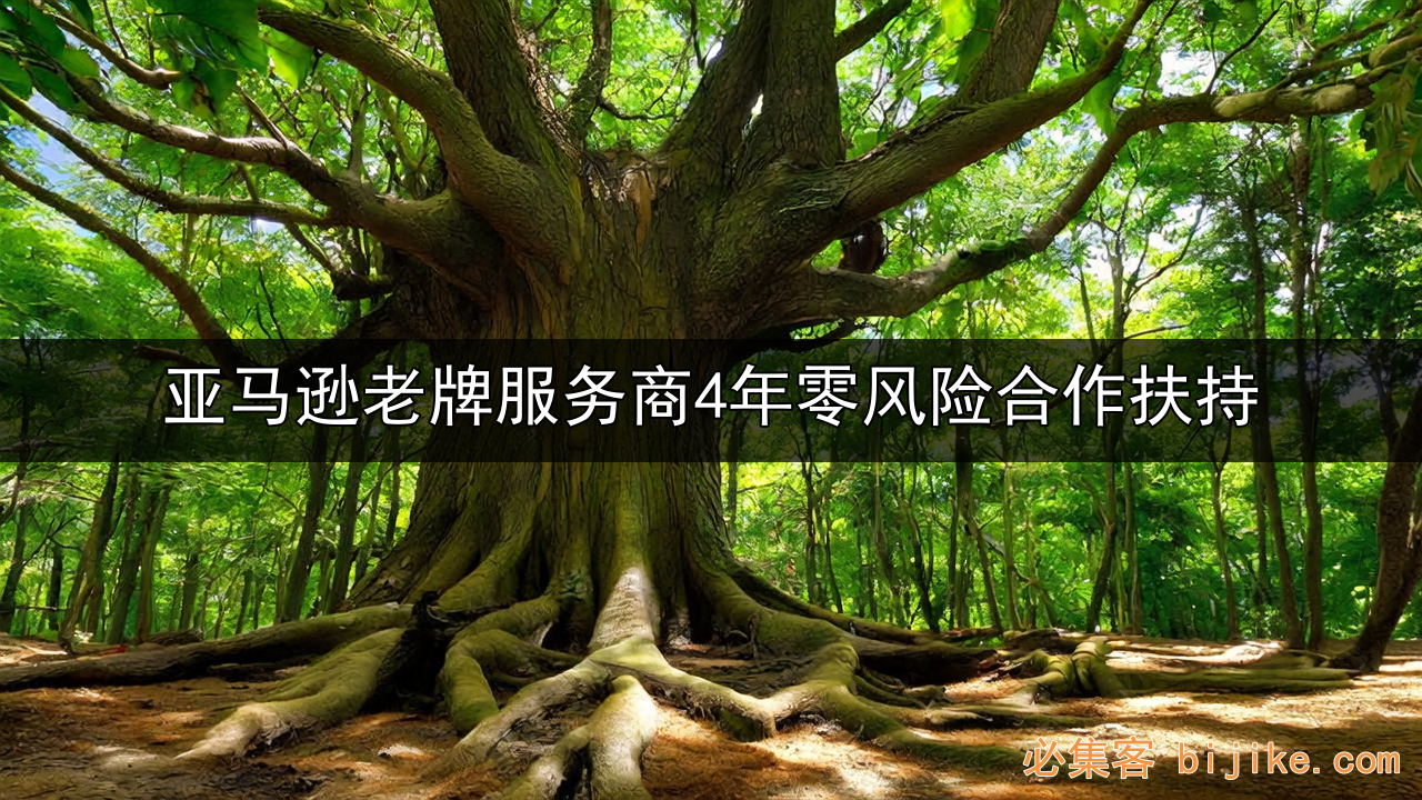 亚马逊服务商指南