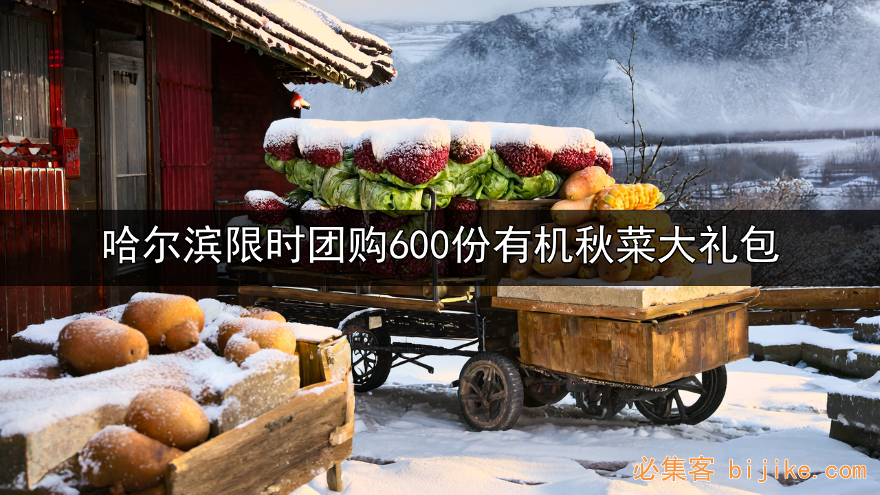 社区团购创业