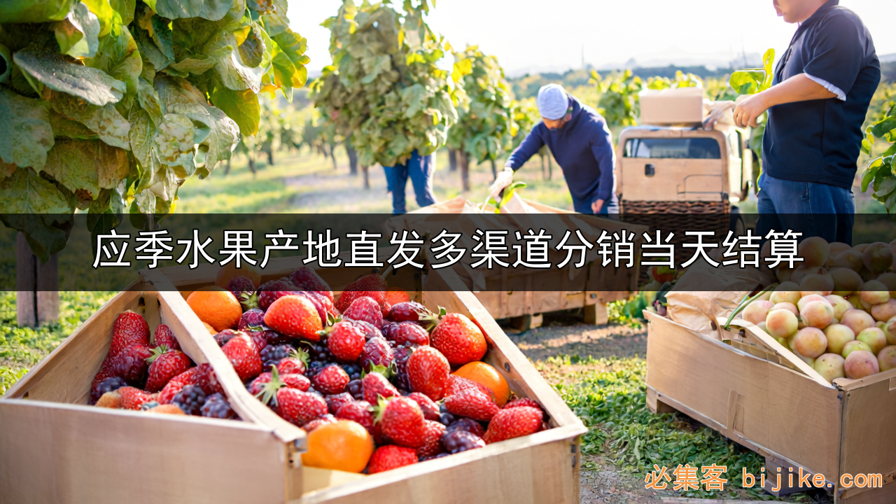 水果分销副业